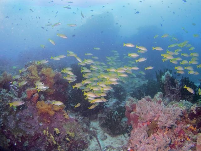 Nomad Divers Bangka Likupang Zewnętrze zdjęcie