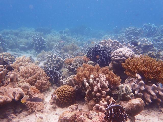 Nomad Divers Bangka Likupang Zewnętrze zdjęcie